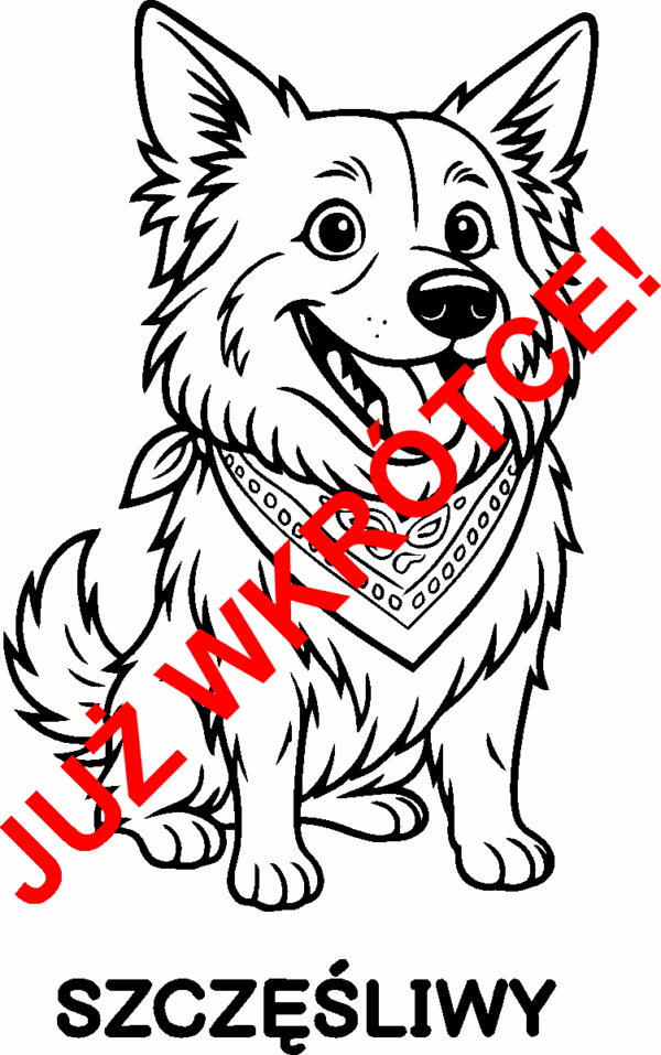 Puzzle edukacyjne – Poznaj budowę psa!