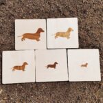 Puzzle Skali - pomoc dydaktyczna do dogoterapii! 1 Puzzle Skali