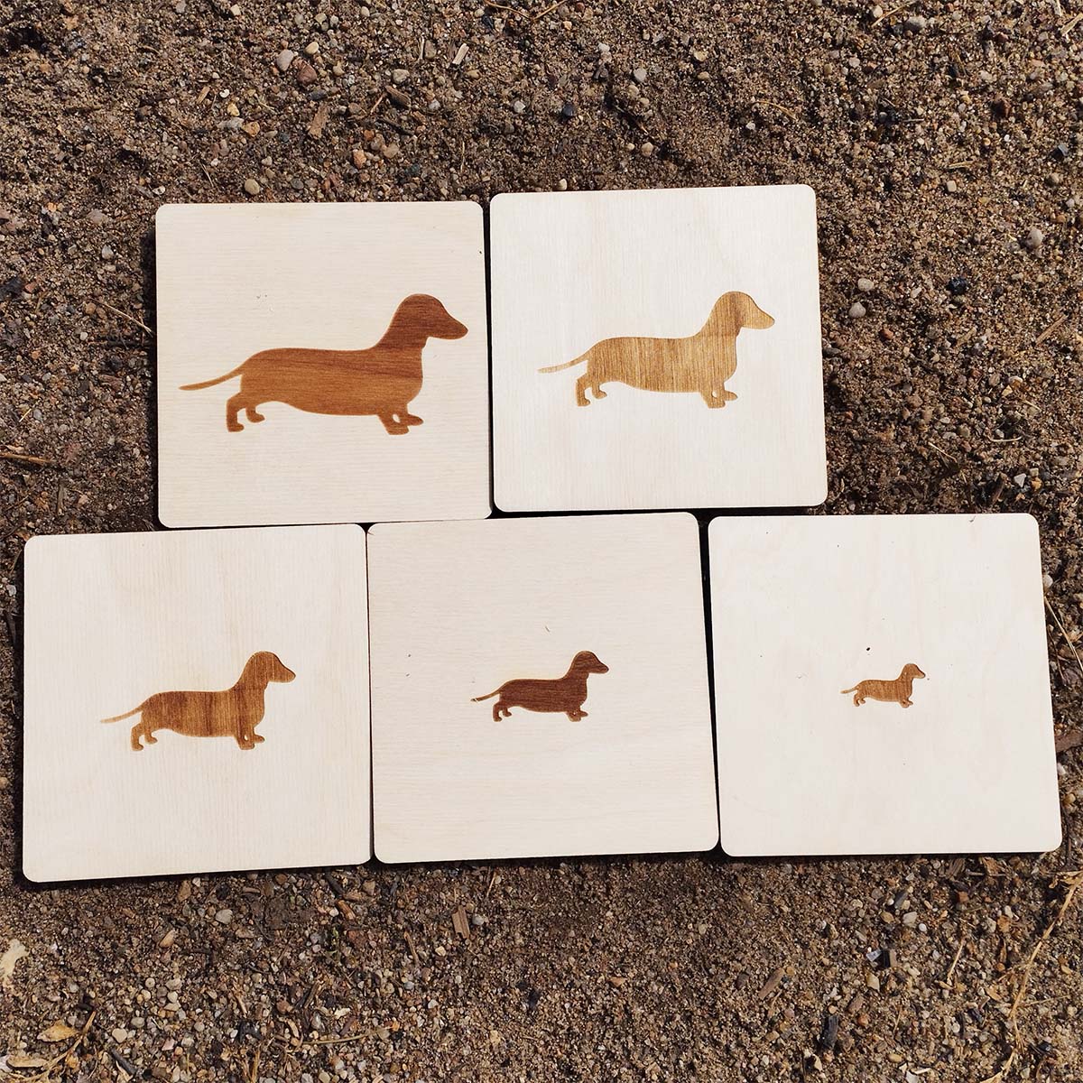 Puzzle Skali DT skala 8 Puzzle Skali - pomoc dydaktyczna do dogoterapii!